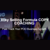 46836Rixu255a The Etsy Selling Formula COPY ME COACHING By Luna Vega