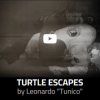 Turtle-escapes-by-Leonardo-Tunico-free-download