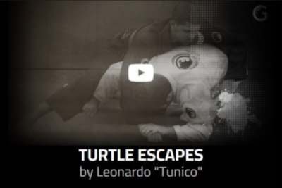 Turtle-escapes-by-Leonardo-Tunico-free-download