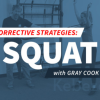 FMS-Corrective-Strategies-Squat-Pattern-by-Gray-Cook-free-download