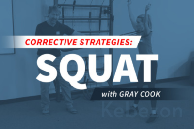 FMS-Corrective-Strategies-Squat-Pattern-by-Gray-Cook-free-download