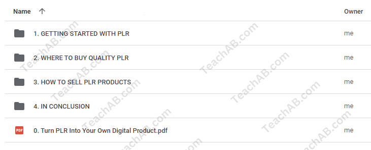 45585fPqPyThP Turn PLR Into Your Own Digital Product