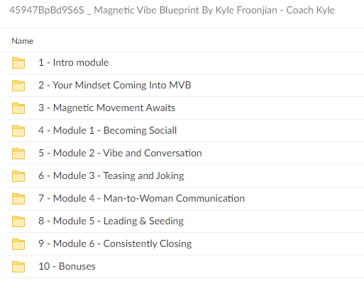 45947BpBd9S6S Magnetic Vibe Blueprint By Kyle Froonjian - Coach Kyle