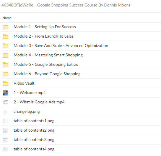 46348OTjqWqRe Google Shopping Success Course By Dennis Moons