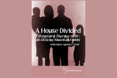 A-House-Divided-Structural-Therapy-with-a-Black-Family-With-Harry-Aponte-free-download