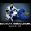 Fine-adjustments-for-basic-submissions-by-Leandro-Slaib-free-download