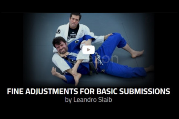 Fine-adjustments-for-basic-submissions-by-Leandro-Slaib-free-download