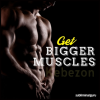 Get-Bigger-Muscles-By-Subliminal-Guru-free-download