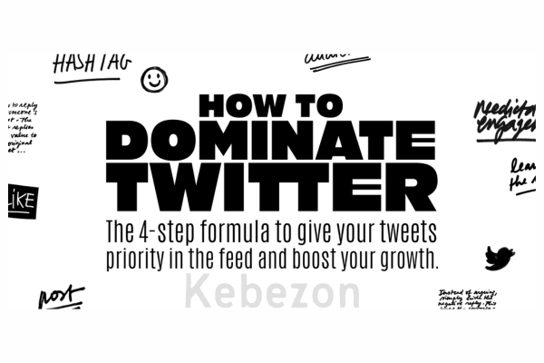 How-To-Dominate-Twitter-Advanced-Growth-Bundle-By-Dagobert-Renouf-free-download