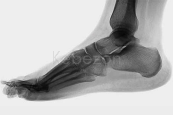 Wilk-PTI-Online-Anatomy-of-the-Foot-and-Ankle-Complex-By-David-Nolan-free-download