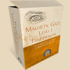 MAGNETIC-GAZE-LEVEL-1-FOUNDATIONS-By-Fabricio-Astelo-Bruno-Martins-Charisma-School-free-download