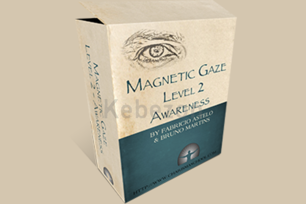 MAGNETIC-GAZE-LEVEL-2-AWARENESS-By-Fabricio-Astelo-Bruno-Martins-Charisma-School-free-download