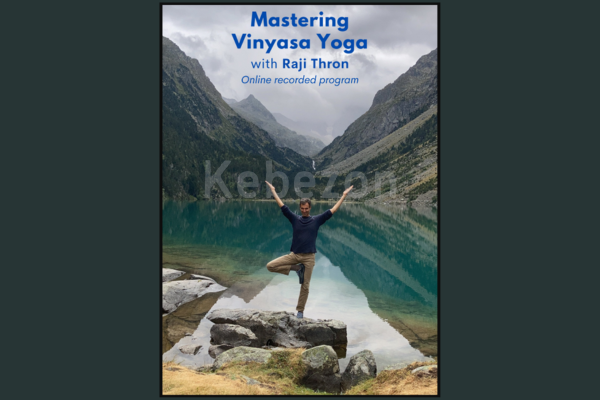 Mastering-Vinyasa-Yoga-Program-with-Raji-Thron-free-download