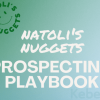 Natoli-s-Nuggets-Prospecting-Playbook-By-Anthony-Natoli-free-download