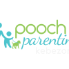 On-Demand-Workshop-first-Week-Home-with-Baby-Dog-By-Pooch-Parenting-free-download