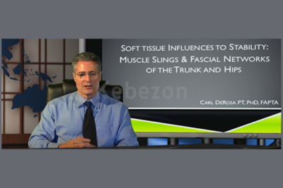 Soft-Tissue-Influences-to-Stability-Muscle-Slings-Fascial-Networks-of-the-Trunk-and-Hips-By-Carl-DeRosa-free-dowbload