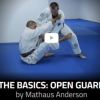 The-Basics-Open-Guard-by-Mathaus-Anderson-free-download