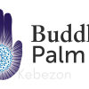 The-Buddha-Palm-Online-Course-By-Lee-Holden-free-download