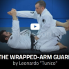 The-wrapped-arm-guard-by-Leonardo-Tunico-free-download