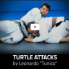 Turtle-Attacks-by-Leonardo-Tunico-free-download