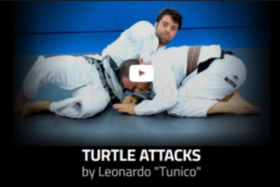 Turtle-Attacks-by-Leonardo-Tunico-free-download