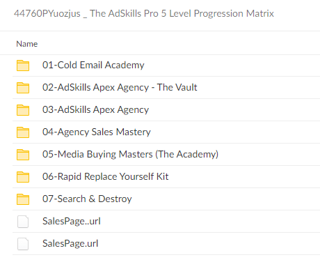 44760PYuozjus The AdSkills Pro 5 Level Progression Matrix