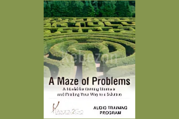 A-Maze-of-Problems-Audio-Training-Program-By-Ready2Go-Marketing-Solutions-free-download