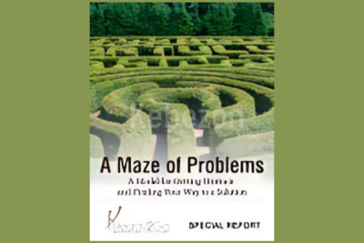 A-Maze-of-Problems-Special-Report-By-Ready2Go-Marketing-Solutions-free-download