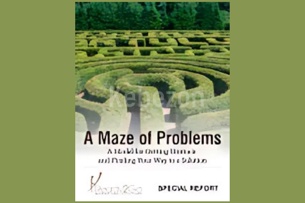 A-Maze-of-Problems-Special-Report-By-Ready2Go-Marketing-Solutions-free-download