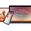 Awaken-Inner-Healing-With-the-Power-of-Your-Voice-By-the-Brothers-Koren-The-Shift-Network-free-download