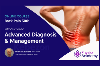 Back-Pain-300-Introduction-to-Advanced-Diagnosis-Management-By-Mark-Laslett-free-download