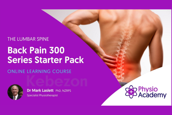 Back-Pain-300-Series-Starter-Pack-By-Mark-Laslett-free-download