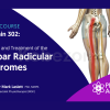 Back-Pain-302- Diagnosis-and-Treatment-of-the-Lumbar-Radicular-Syndromes-By-Mark-Laslett-free-download