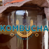 KombuchaU-By-Michael-Greenfield-free-download