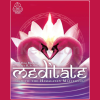 Meditate-with-the-Himalayan-Masters-By-Paul-Scheele-free-download