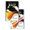 Motivation-Magic-Teleseminar-Self-Study-Online-Course-By-Ready2Go-Marketing-Solutions-free-download