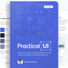 Practical-UI-User interface-design-book-By-Adham-Dannaway-free-download