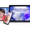 Regenerating-Images-in-Memory-RIM®-By-Deborah-Sandella-The-Shift-Network-free-download