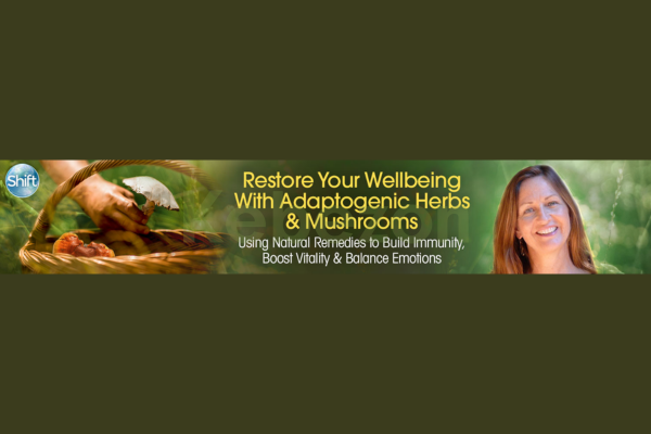 Restore-Your-Wellbeing-Using-Adaptogenic-Herbs-Mushrooms-By-Teresa-Boardwine-The-Shift-Network-free-download