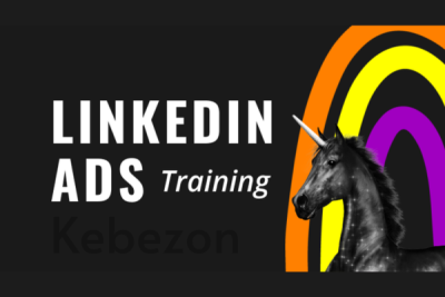 The-LinkedIn-Ads-Course-By-Phil-Ilic -Super-Lumen-free-download