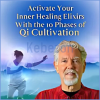 Activate-Your-Inner-Healing-Elixirs-with-the-10-Phases-of-Qi-Cultivation-By-Roger-Jahnke-The-Shift-Network-free-download