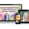 Amplify-Essential-Energy-to-Heal-Dis-Ease-Restore-Balance-By-Cyndi-Dale-The-Shift-Network-free-download